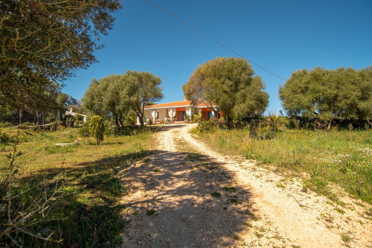 Luna Onifai Exterior photo